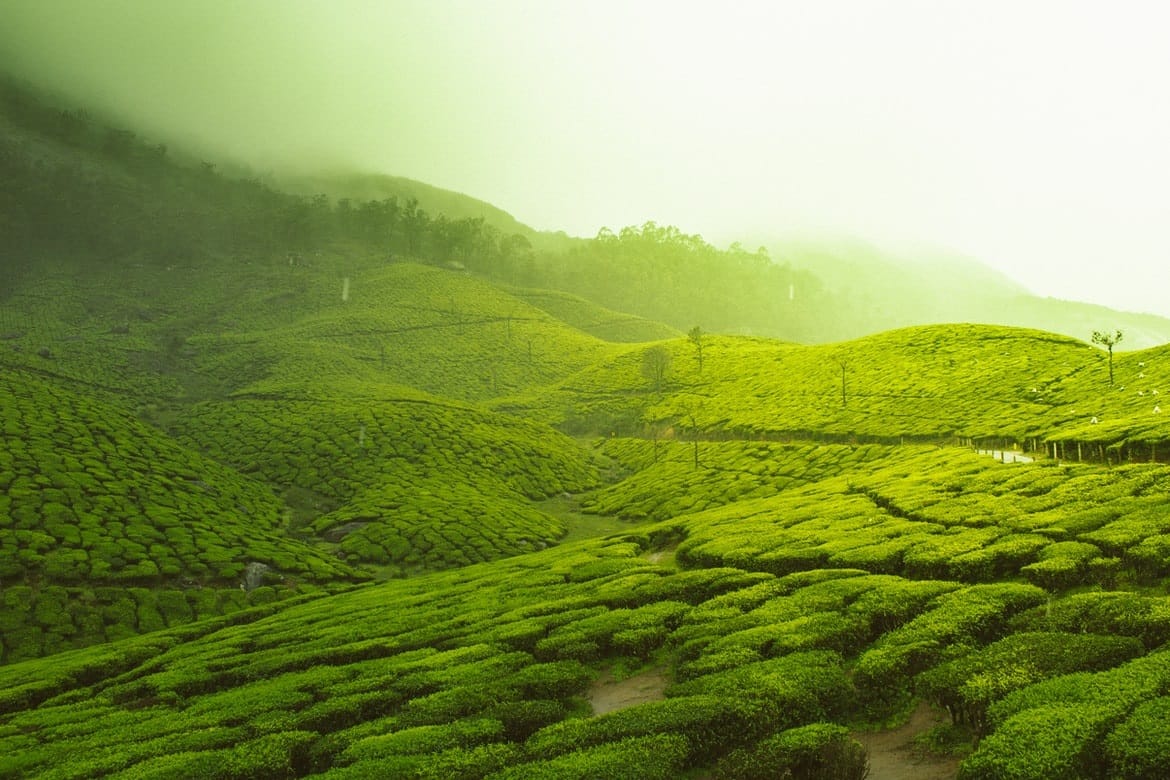 Kerala, India in September